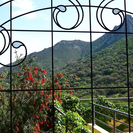 Cas'Anna Lidia - Hotel De Charme Feliceto Ngoại thất bức ảnh